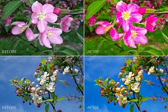 Spring Lr Presets Product Image 2