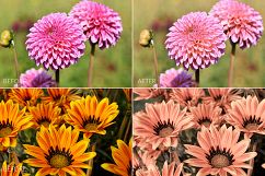 Flowers Lr Presets Product Image 8