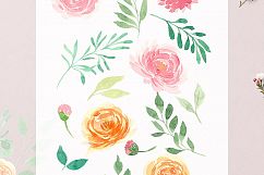 DELICATE BLUSH Product Image 6