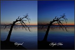 Night and Low Light LUTs Product Image 6