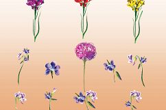 Watercolor Wildflowers  Product Image 5