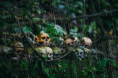 160 Rain Photo Overlays Product Image 4