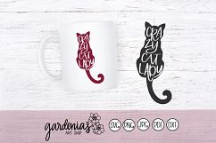 Crazy Cat Lady Product Image 1