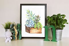 Watercolor Succulents Clip Art Set Product Image 8
