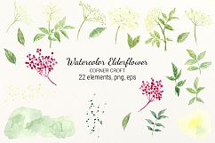 Elderflower Collection, png, svg, eps, label and stickers, watercolor elderflowers Product Image 3