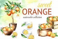 Natural Orange juice. Watercolor Product Image 1