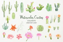 Watercolor clipart cactus for instant download  Product Image 2