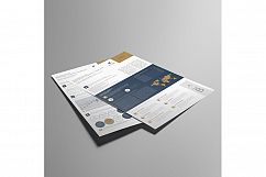 Business Plan Executive Summary Template Product Image 3