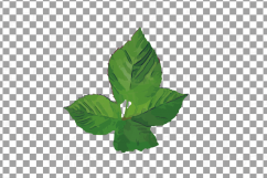 Watercolor Blackberry, branch and leaves clip art pack Product Image 4
