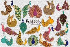 Peacocks Product Image 1