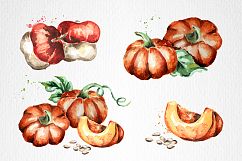 Pumpkin. Watercolor bundle Product Image 3