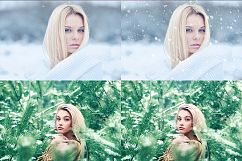 Snowflake Brushes Product Image 4