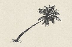 227 hand drawn palms + BONUS Product Image 2