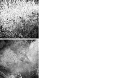 Grunge Textures Product Image 5