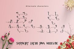 Junitha Script Product Image 4