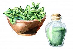 Fresh mint Product Image 4