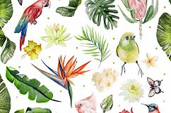 Hand Drawn Watercolor BUNDLE 4 Product Image 13