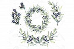 Watercolor Botanic Olive Branch Product Image 2