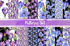 Blue and purple crocuses PNG watercolor set Product Image 2