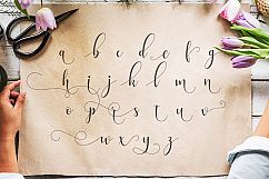 Alyshia Script Product Image 8