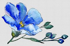 Wildflower blue flax PNG watercolor set Product Image 5