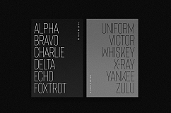 Bison - A powerful font Product Image 5