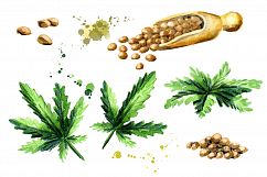 HEMP bundle. Hand painted watercolor Product Image 2