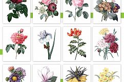 Entire Vintage Collection -Over 1000 Illustrations Product Image 4