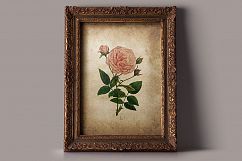 Vintage Paper Textures The Effervescent Collection Product Image 7