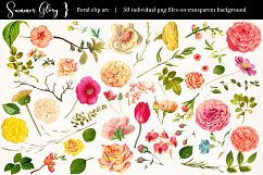 Floral Clip Art - Summer Glory Product Image 2