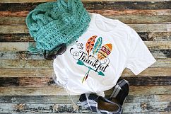 Be Thankful//Feathers//Fall//SVG//EPS//DXF Product Image 3