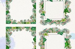 Watercolor Edelweis Product Image 7