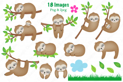 Sloth clipart, Sloth graphics &amp; illustrations, Cute Sloths Product Image 2