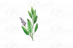 Herbs and Spices clip art pack, Watercolor herbs and spices chart, kitchen herbs, food print. PNG, jpg, svg, vector illustrator &amp;corel files Product Image 8