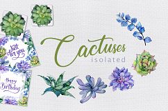Colorful cactuses PNG watercolor set Product Image 5