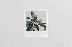 Polaroid Mockups Set Product Image 5