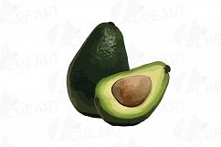 Watercolor Avocado clip art pack,avocado leaves and flowers Product Image 4