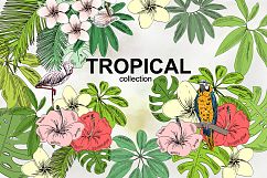 Tropical collection. Product Image 1