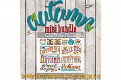 Autumn/Fall SVG Bundle-cut files for Cricut, Silhouette Product Image 1