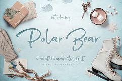 Polar Bear Product Image 1