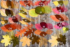 Autumn Leaves - Handcrafted Illustration Kit Product Image 4