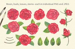 Rose Garden Watercolor Clipart Product Image 2