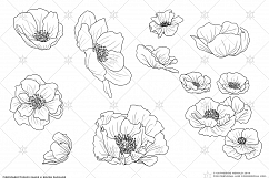 Vector Poppies Product Image 2