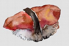 Watercolor sushi PNG watercolor set Product Image 2