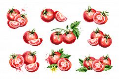 Ripe TOMATOES Product Image 3