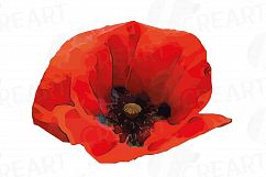 Watercolor Red Poppy flower and leaf clip art pack, Poppies clip art. PNG, jpg, svg, vector illustrator &amp; corel files included Product Image 7