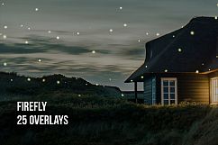 Firefly Overlays Product Image 1