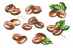 Coffee bean. Watercolor collection Product Image 3