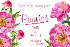 Paradise pink peonies PNG watercolor set Product Image 1