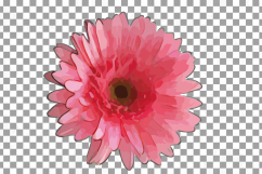 Watercolor Gerbera Daisy clip art pack, colorful gerbers Product Image 13